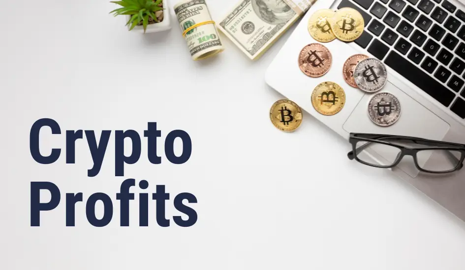 Subscribe to the Crypto Profits premium newsletter